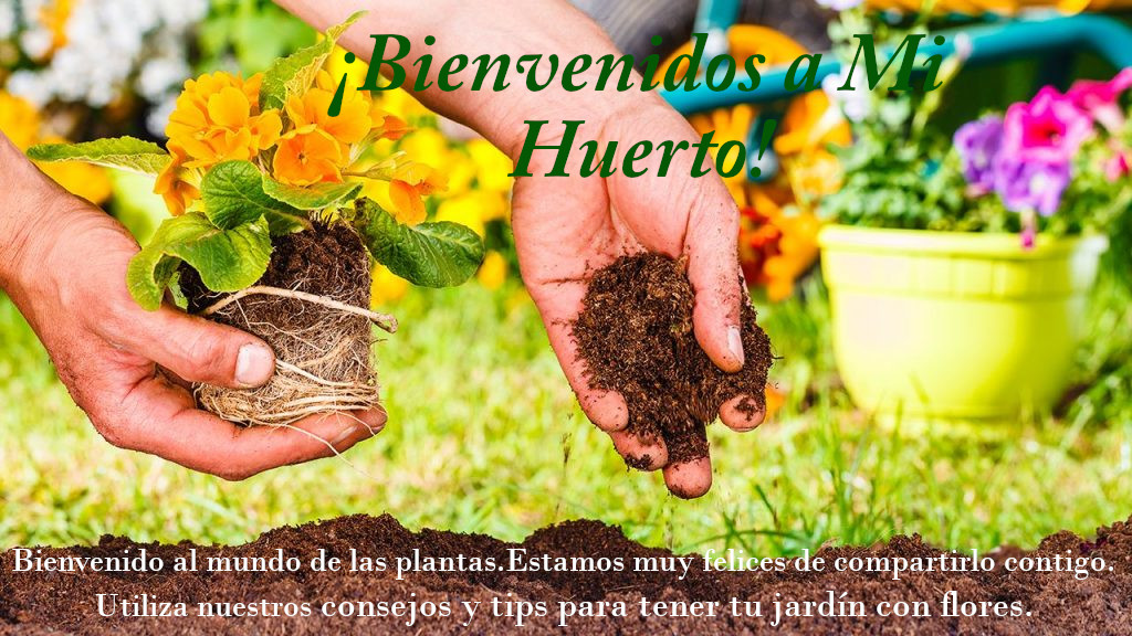 foto de plantar flor
