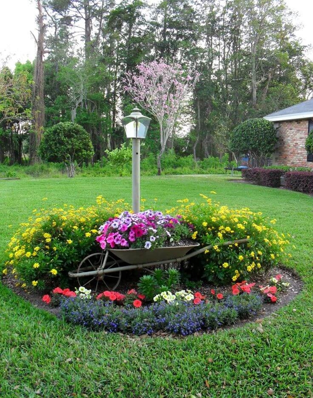 foto de flores en un tronco